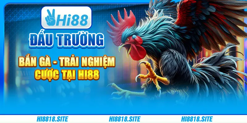 Hi88 - Khám Phá Thế Giới Giải Trí Đỉnh Cao - Hơn Cả Một Sân Chơi